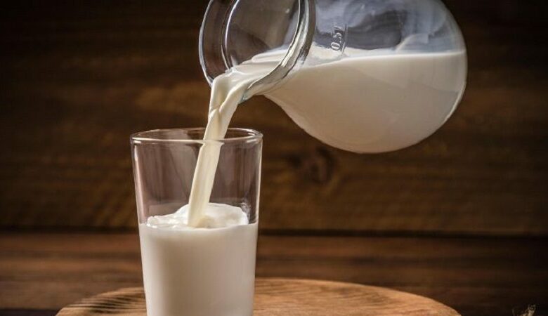 Cila është koha më e mirë për të pirë qumësht Në mëngjes apo në
