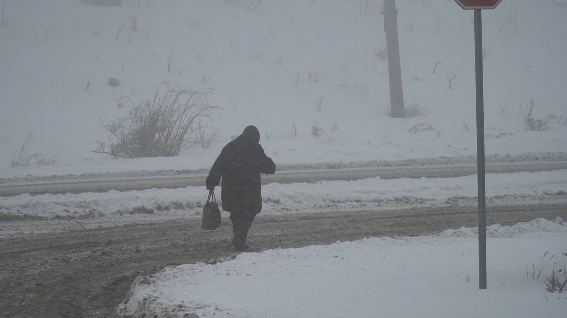 Reshje shiu në Elbasan, bora në zonat e tjera rëndon situatën