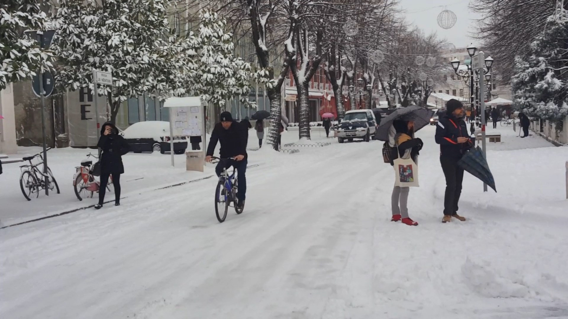 Reshjet e borës zbardhin Shkodrën