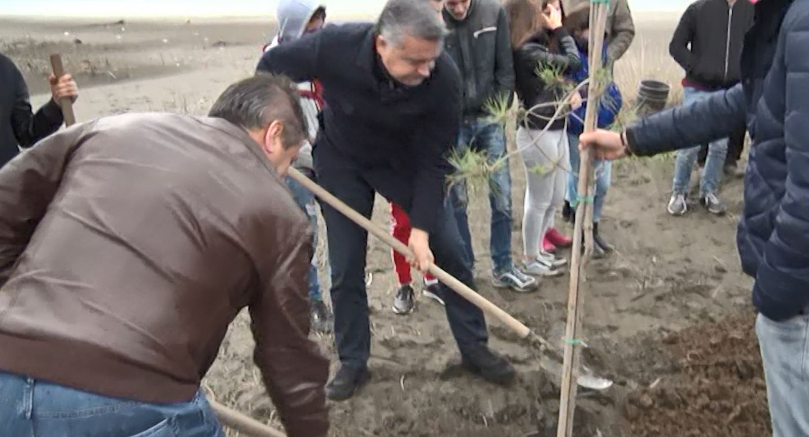 Mbillen 5 mijë pemë në lagunën Kune-Vain