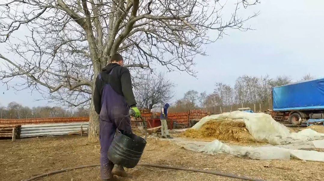 Presheva e harruar, aty ku serbë e shqiptarë jetojnë në paqe