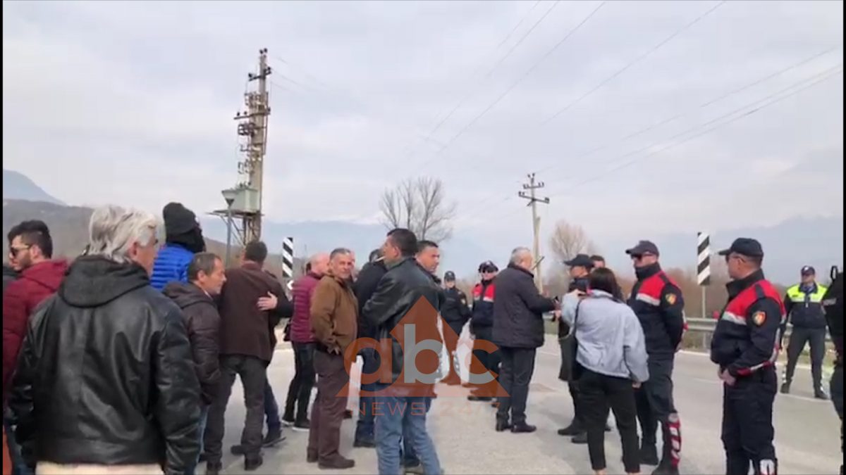 Simpatizantë të PD-së protestojnë në Gjirokastër