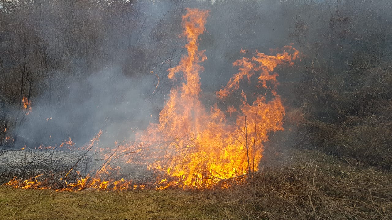 Zjarr masiv në pyjet e Devollit