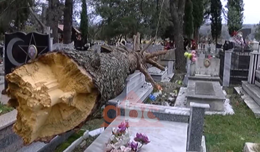 Erë e fuqishme në Lezhë