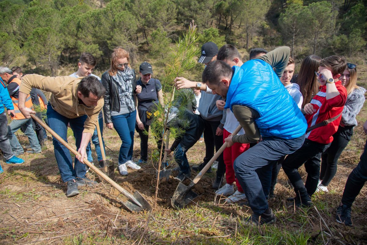 Dhjetëra vullnetarë i bashkohen aksionit të Bashkisë së Tiranës