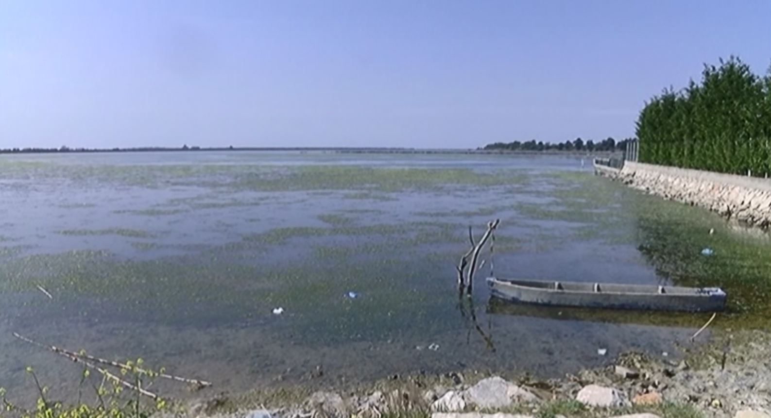 Ndotet Laguna në Kune të Lezhës, specialistët e mjedisit në alarm