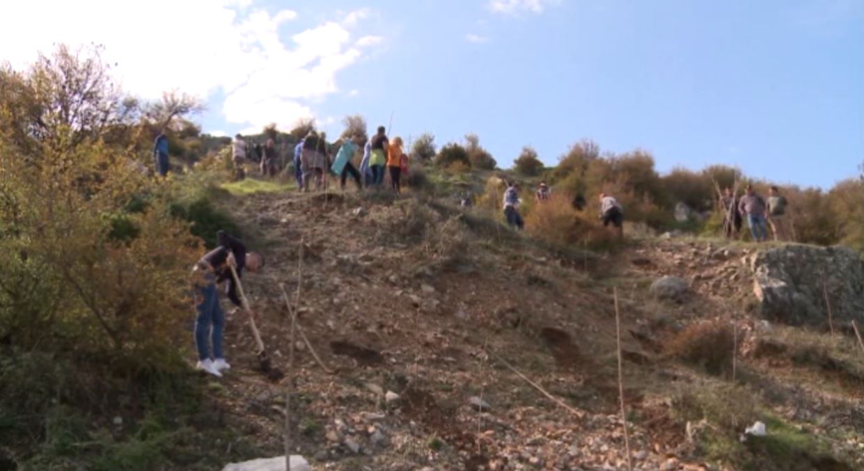 Shkarjet e tokës në kodrën e Kalasë së Lezhës, nis mbjellja e pemëve