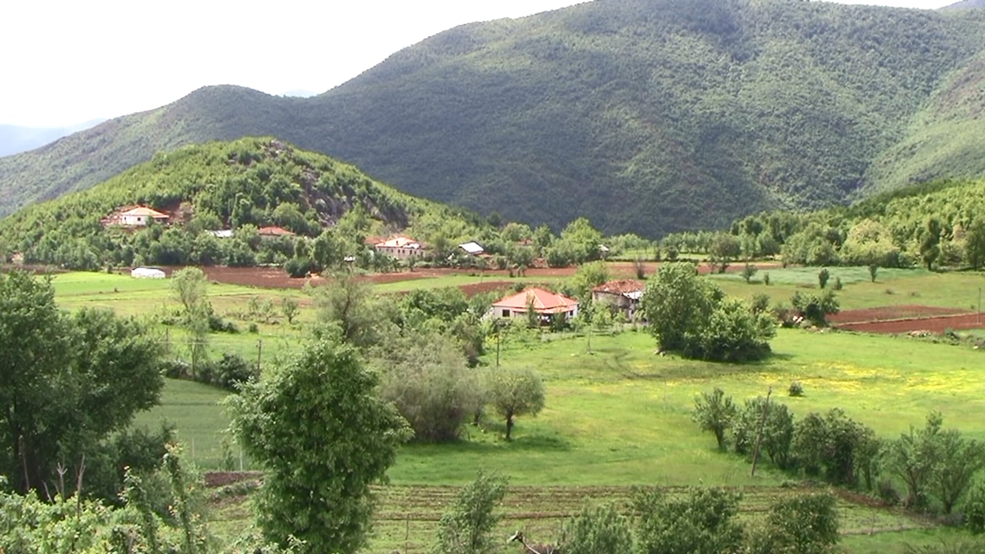 “Çojmë vezë dhe marrim ushqime, kështu e bëjmë tregtinë”