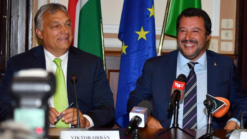 “Aleatët” Salvini e Orban fitojnë në zgjedhjet Parlamentare Europiane