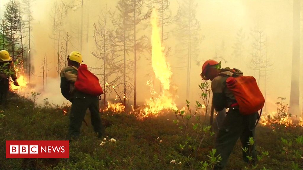 Zjarre dhe smog në Siberi dhe në rajonet në veri