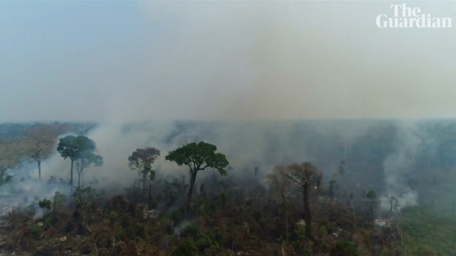 Zjarret në Amazonë, vendet e Amerikës së Jugut në samit