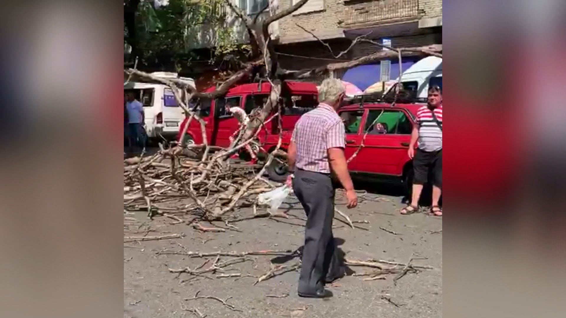 Rrëzohet pema, dëmtohen makina e parkuara