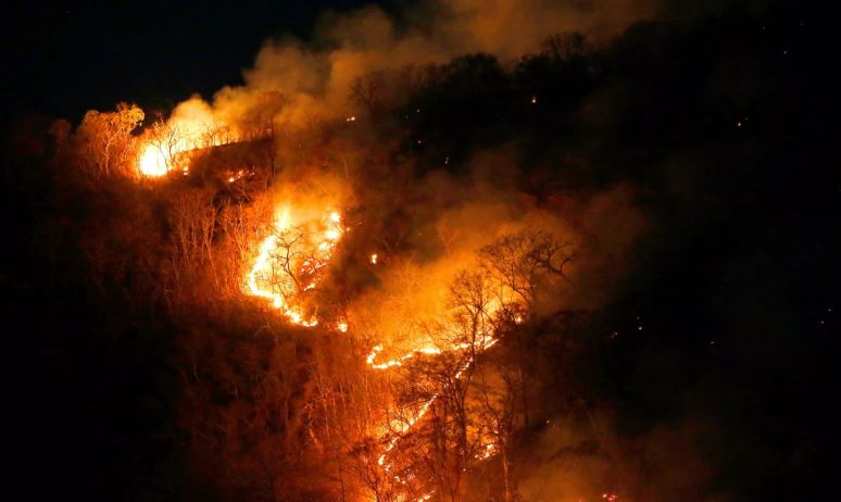 “Do bllokojmë marrëveshjen tregtare”, zjarret në Amazonë shqetësojnë botën