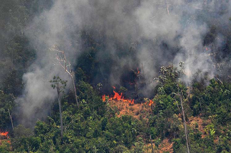 Zjarret në Amazonë, Brazili vendos kushte për ndihmën e G7