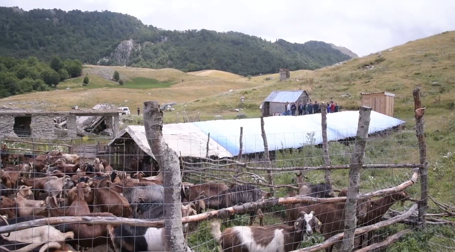 Çuçi vizitë në stanet e Shëngjergjit