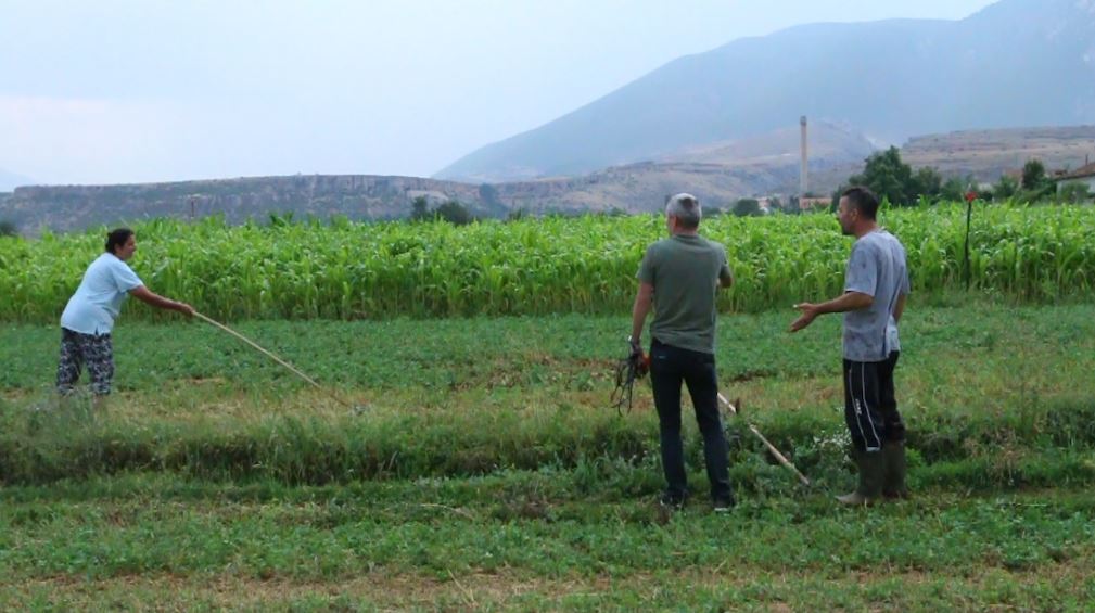 Si hoqën dorë kuksianët nga sherebela