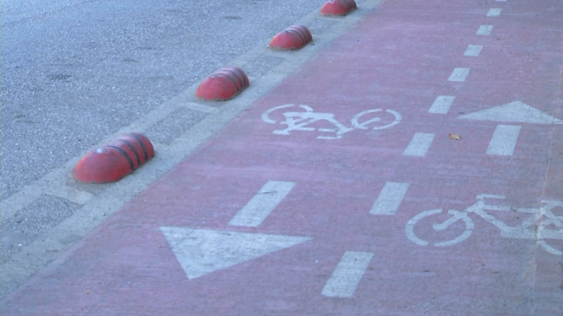 Shtimi i korsive të biçikletave, kaos me trafikun në Tiranë
