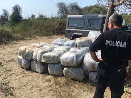 Sekuestrohen 200 kg drogë në Peqin