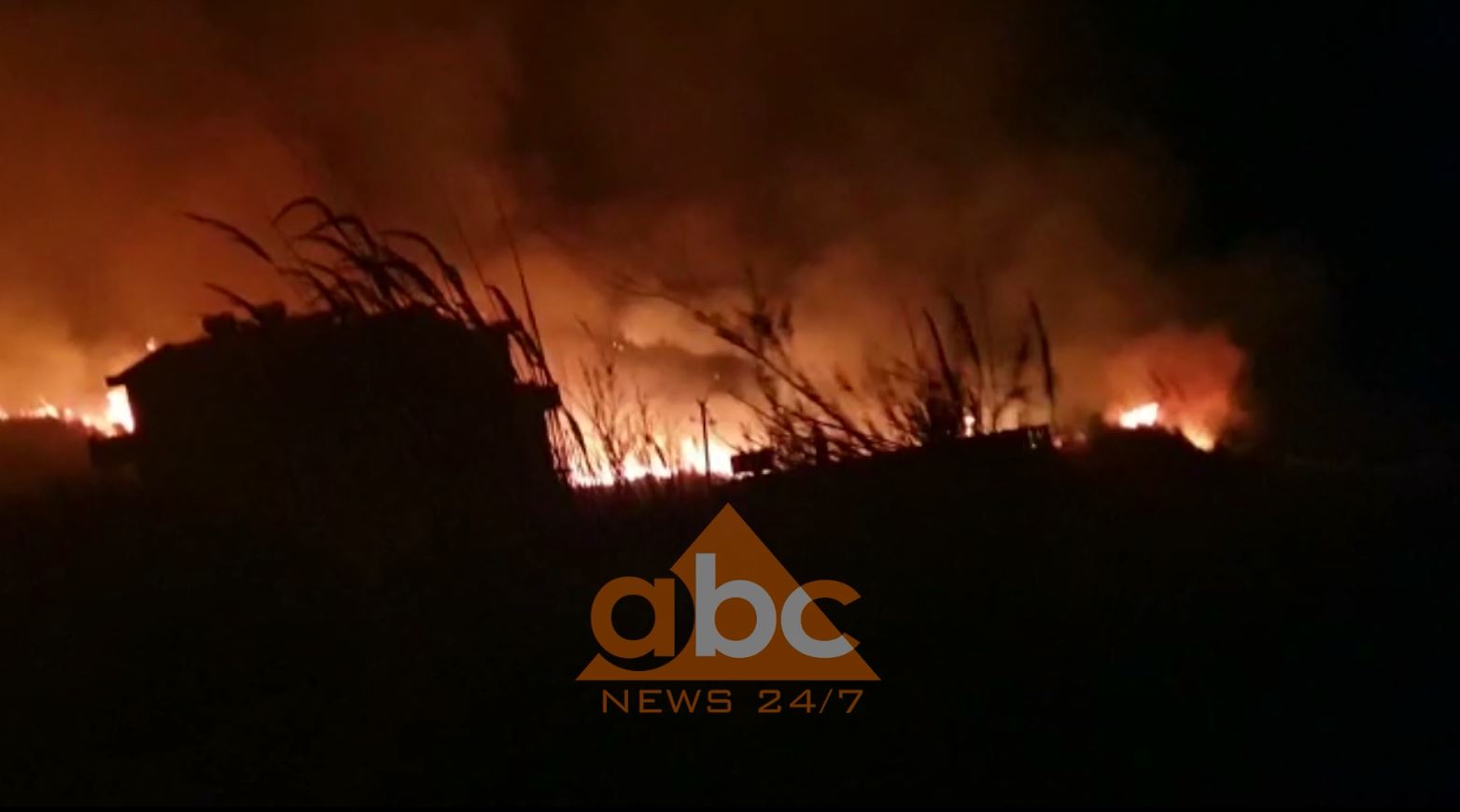 Zjarr në një sipërfaqe me ullishte në Orikum, rrezikohen 3 banesa