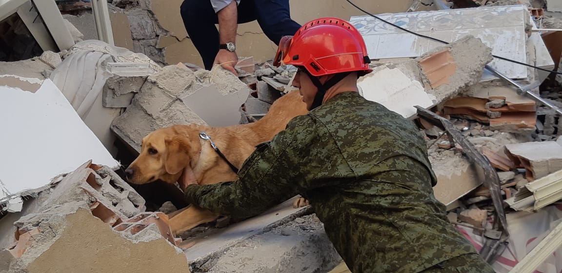 FOTO/ Efektivët e FSK përdorin qenin për lokalizimin e banorëve nën rrënoja