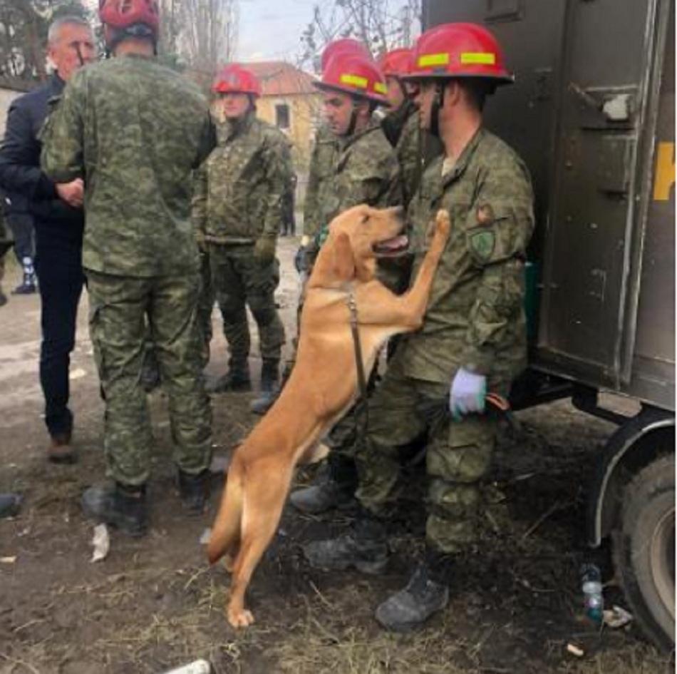 “Sadak”, qeni hero nga Kosova që ka shpëtuar shumë jetë në Thumanë dhe Durrës