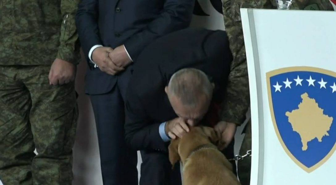 President Meta kisses the hero dog that saved lives in Thumana