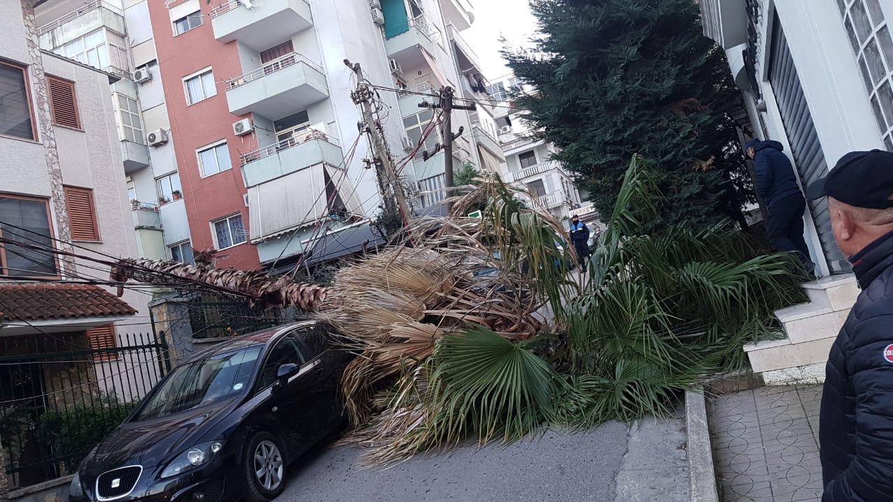 FOTO/Selitë, era rrëzon shtyllat dhe palmat, bien mbi makina