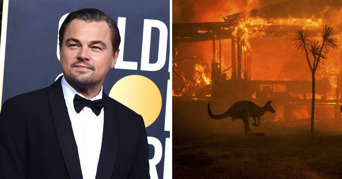 Leonardo DiCaprio dhuron 3 milion dollarë për zjarret në Australi