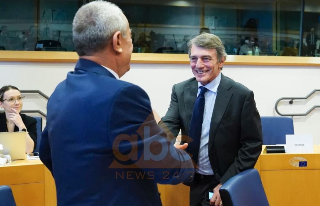 “Në mars duhet të hapë dritën jeshile”, Ruçi dhe Balla në PE: Të vendosur drejt destinacionit europian