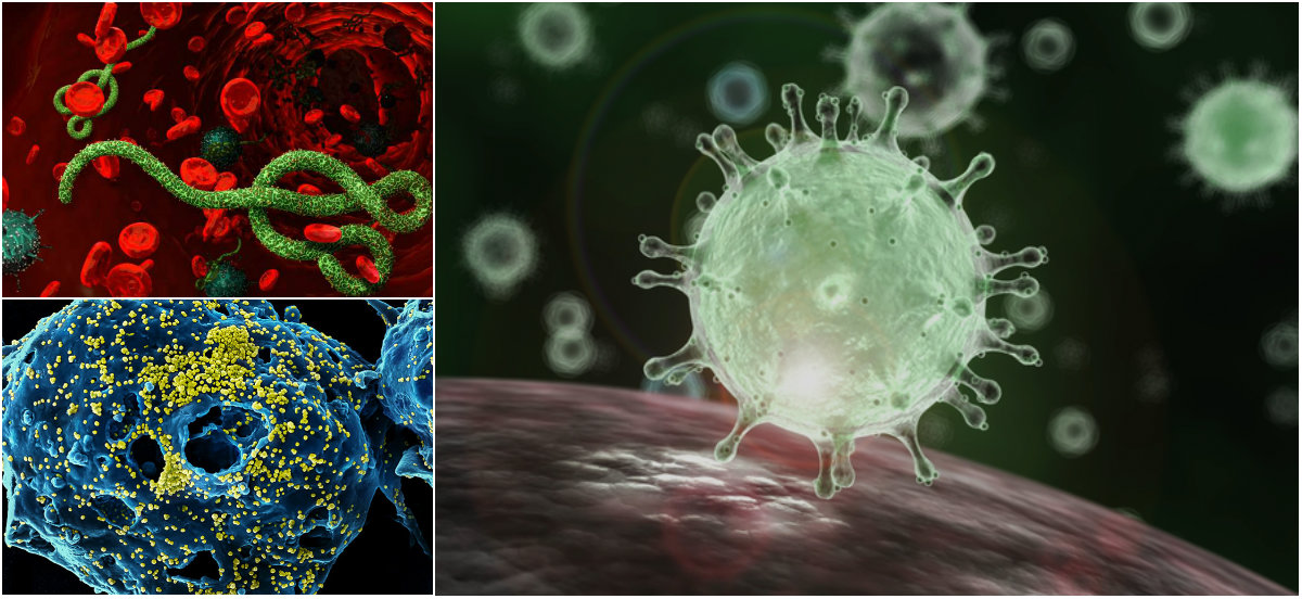 Pesë viruset që kanë infektuar njerëzit në 16 vitet e fundit