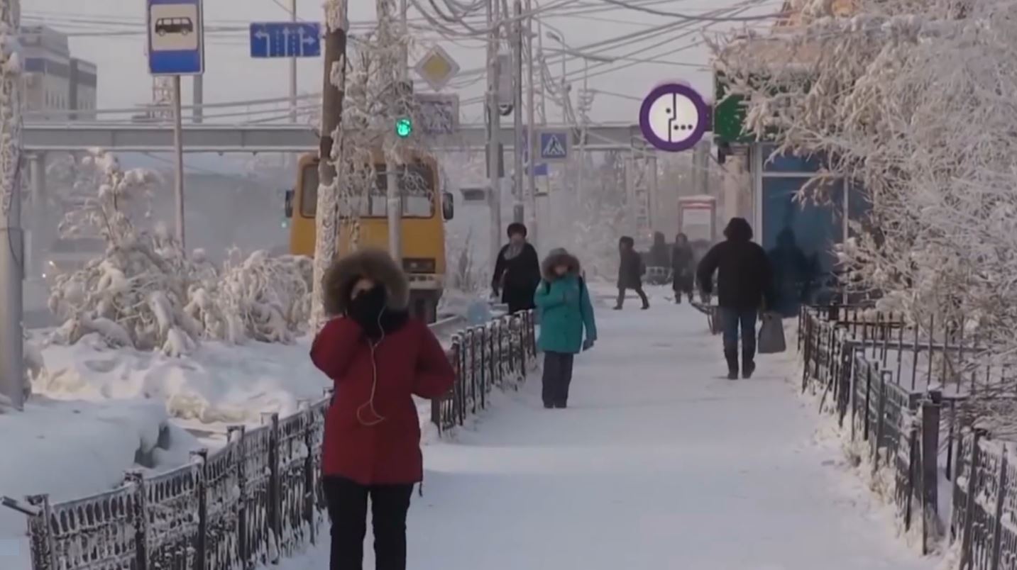 E pazakontë, një qytetar nga Siberia nxjerr në shitje deborën për banorët e Moskës