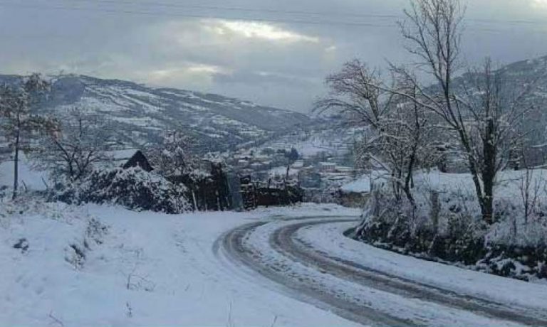 Dardha kryeson në dimër  Vizitorët vlerësojnë peizazhin alpin  sportet dhe mikpritjen