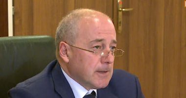 Kandidati për në Gjykatën e Lartë, Panda: Objektiv “emergjencat gjyqësore”