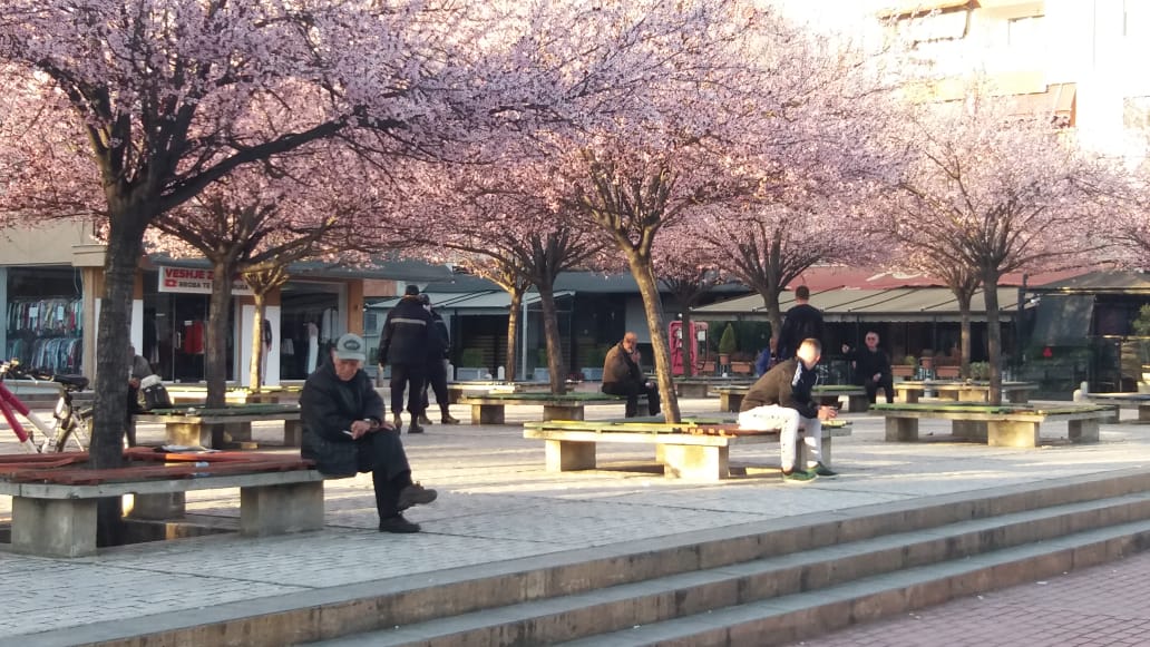 Çohu mos rri këtu! Policia bashkiake, shesheve të Tiranës për të futur qytetarët në shtëpi