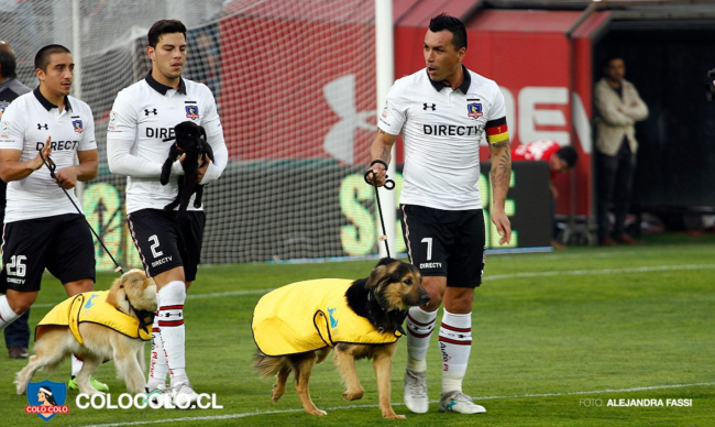 VIDEO/ Fushata e Colo Colo, lojtarët futen me qen në fushë përpara takimit