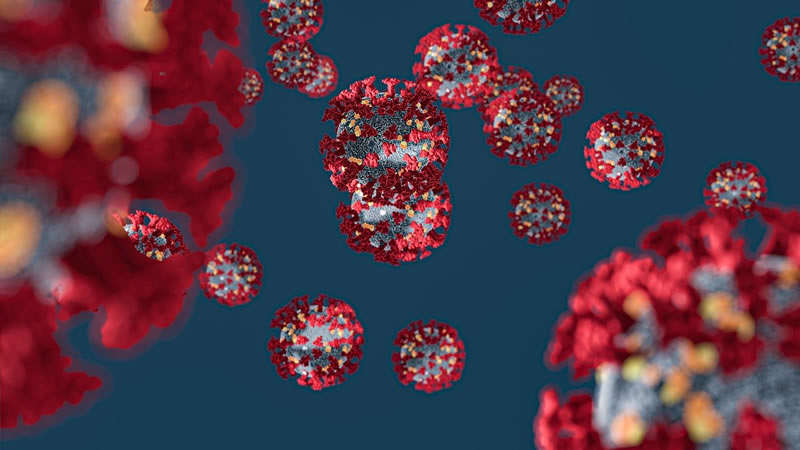 COVID-19/ Studim: Si lufton dhe ndihmon në shërimin ndaj virusit sistemi ynë imunitar?