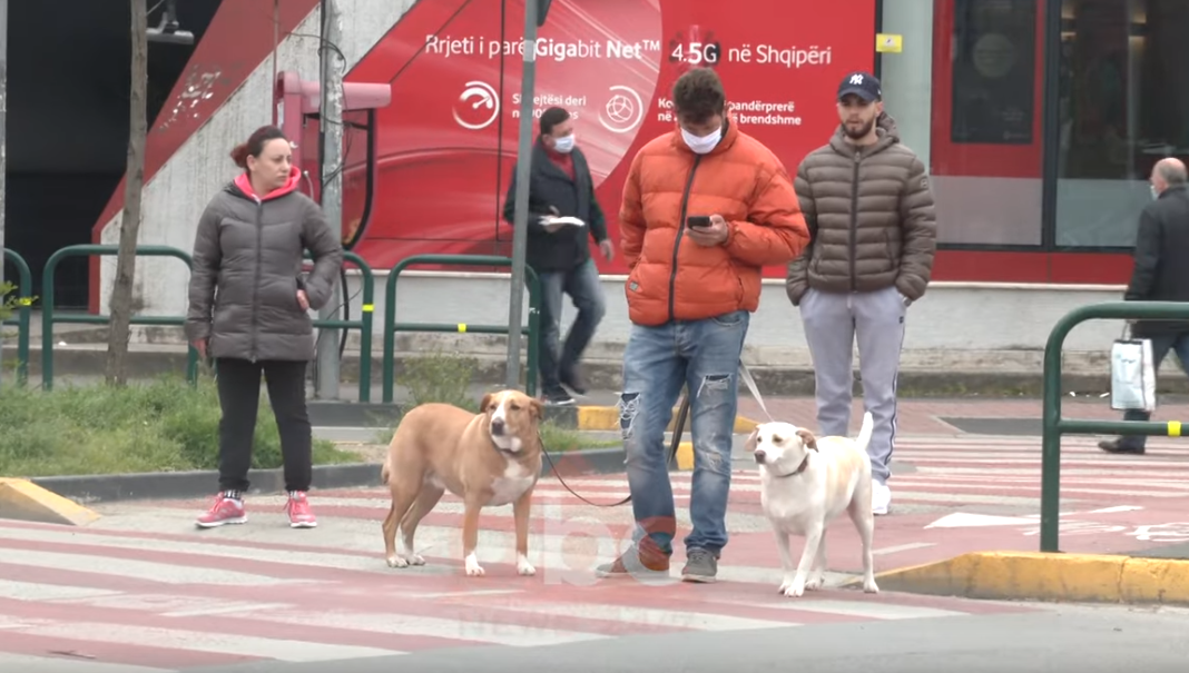 Edhe qentë në karantinë, policia vendos në vështirësi qytetarët kur i nxjerrin jashtë shtëpisë