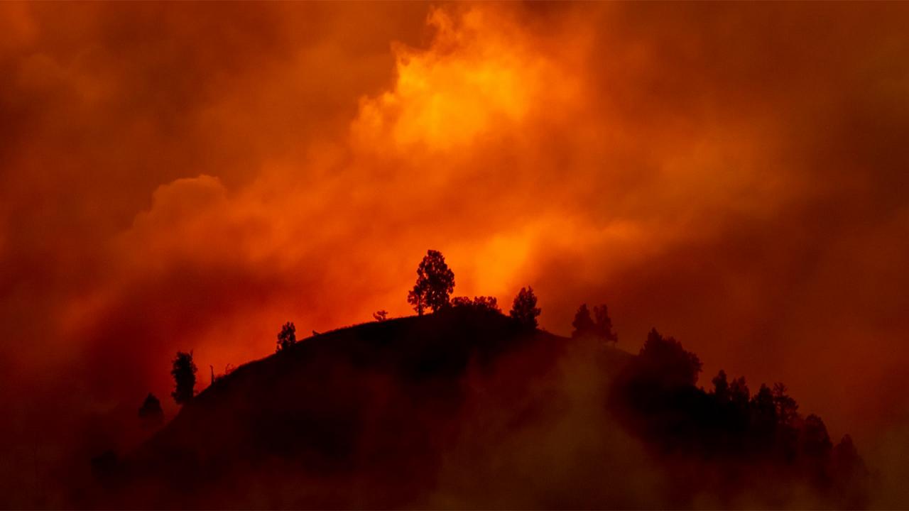 Shifrat alarmante, Evropa kalon dimrin më të ngrohtë në histori