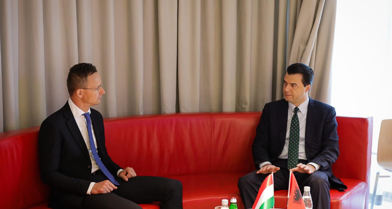 Assistance to Albania during this pandemic period, Basha meets with Hungarian Foreign Minister