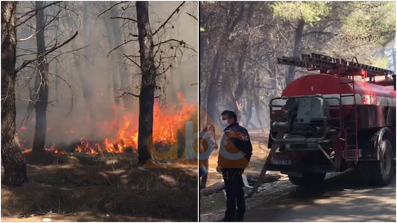 VIDEO / Neutralizohen flakët në Pyllin e Sodës në Vlorë