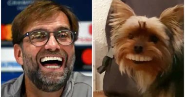 VIDEO/ Qeni me proteza thyen rrjetin, krahasohet me Jurgen Klopp