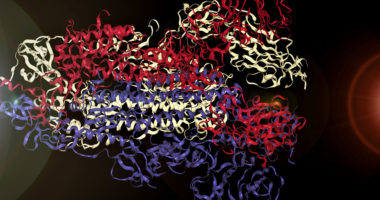 “Koronavirusi ka melodinë e një muzike klasike-theksojnë shkencëtarët