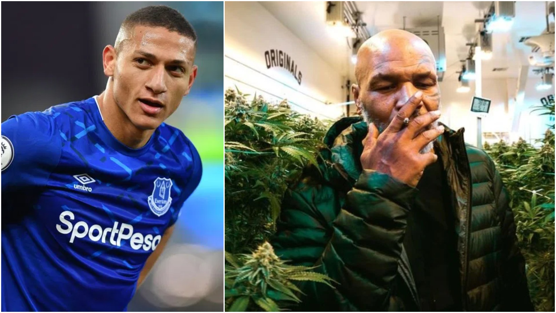 Oferta e Tyson me kompaninë e marijuanës, Everton merr vendimin final