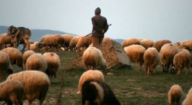 U vetëplagos aksidentalisht me armë zjarri, humb jetën bariu në Dibër