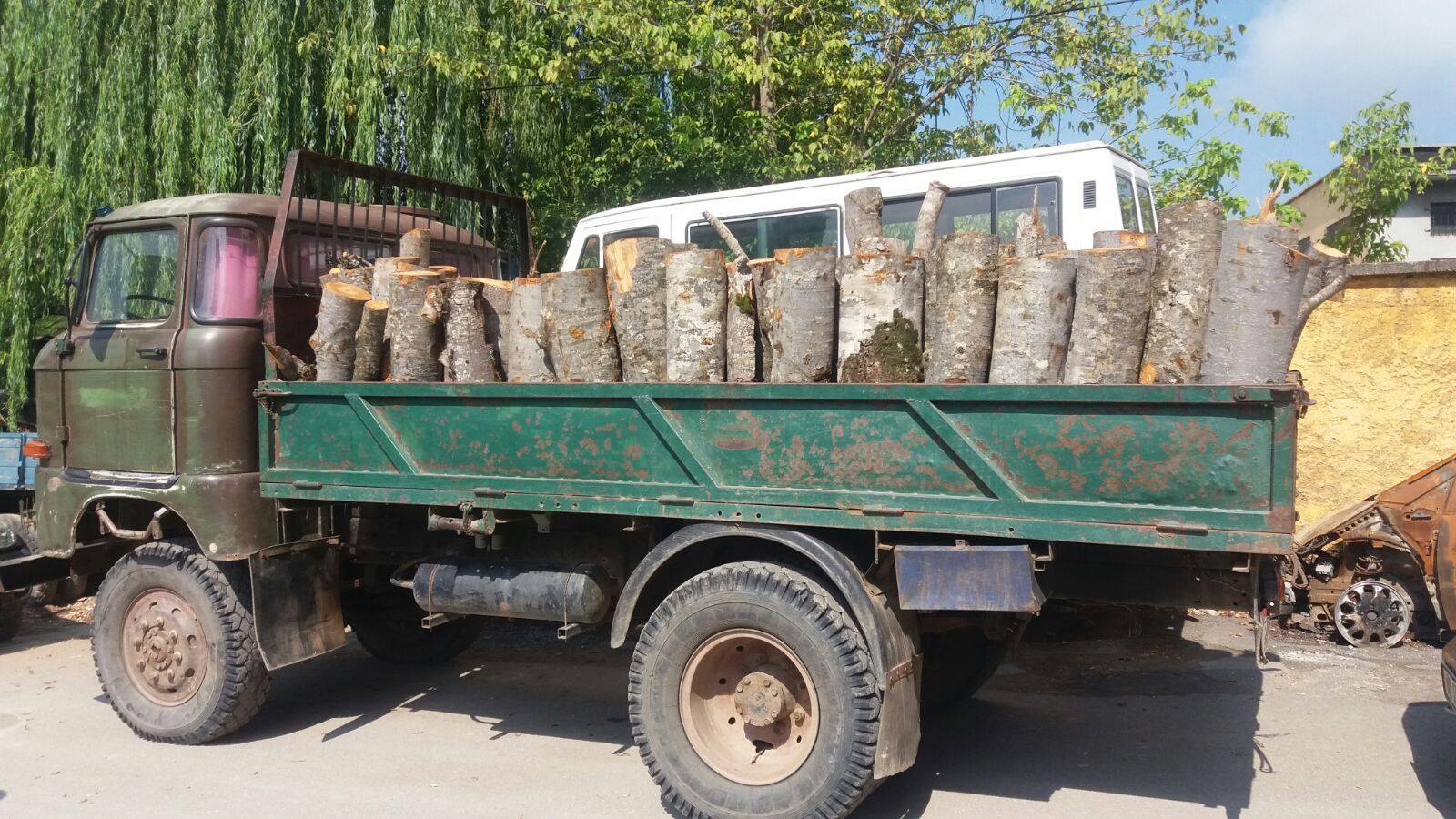 Po transportoin lëndë drusore pa leje, arrestohen babë e bir në Korçë