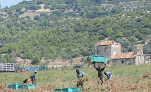 Italia merr vendimin e rëndësishëm për 600 mijë emigrantë të paligjshëm