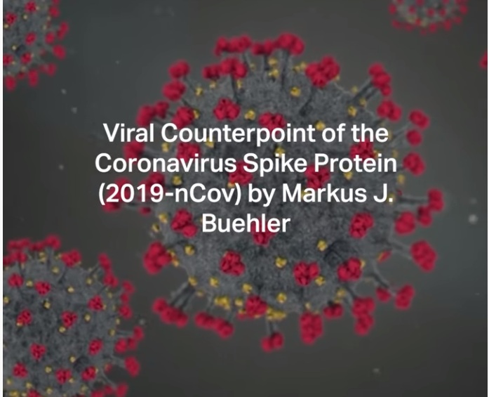 VIDEO/ Shkencëtarët zbulojnë muzikën që krijon koronavirusi duke u zhvilluar