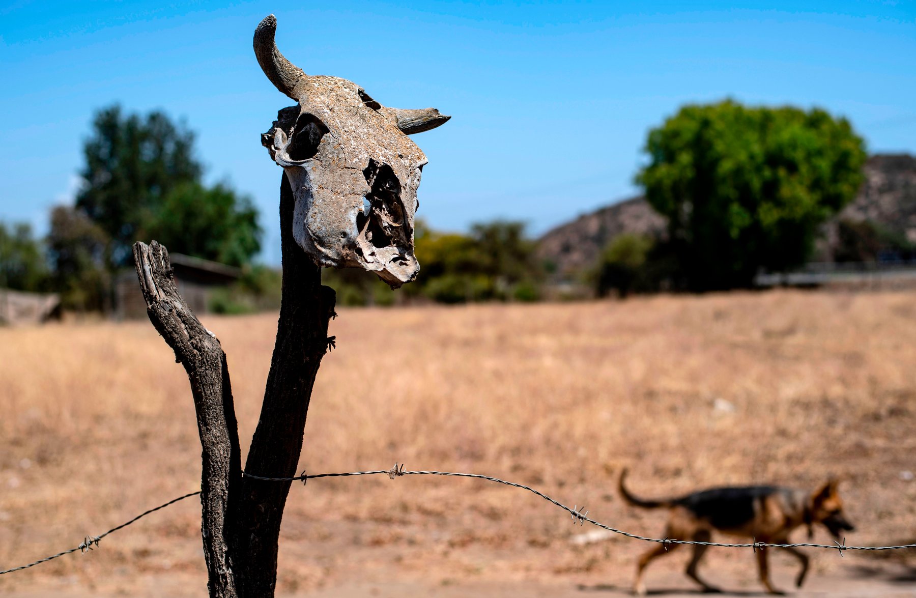 Studimi/Në 2070 më shumë se 3 miliardë njerëz do jetojnë në temperatura ekstreme të larta