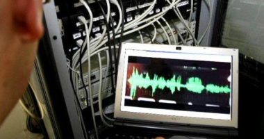 PËRGJIMET/ “Më gjej një mik për prokuroren F.V”: Si u shkatërrua grupi i Kukësit, mbillnin kanabis në male