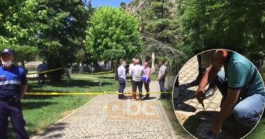 Ra në kontakt me energjinë elektrike në park, Bashkia Beratit reagon për vdekjen e fëmijës